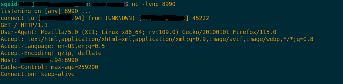Anonymous Proxy Headers