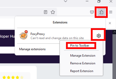 Firefox Extension