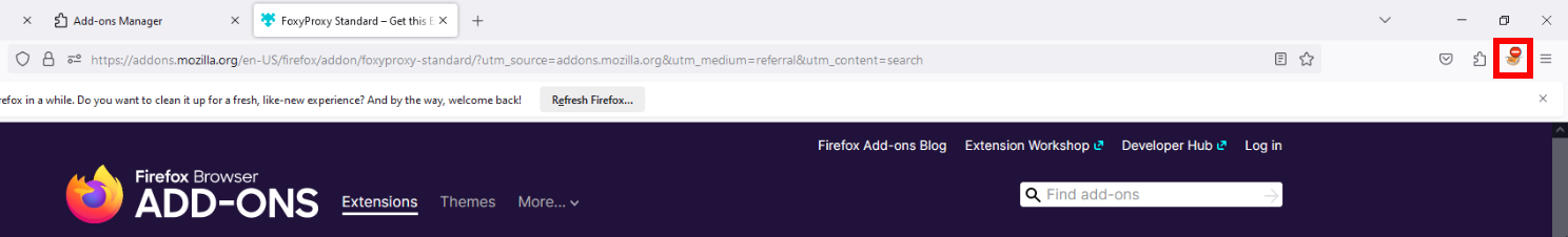 Firefox Extension