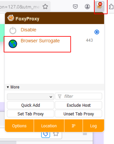 Firefox Extension Options 4