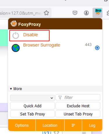 Firefox Extension Options 4