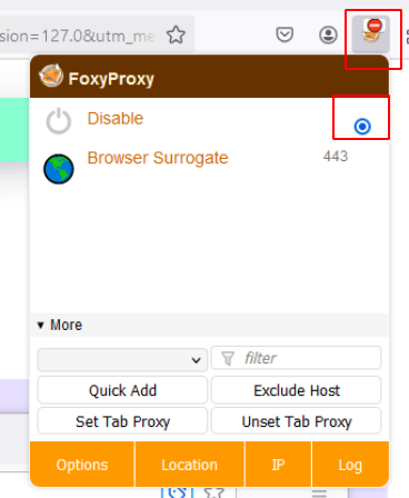 Firefox Extension Options 4