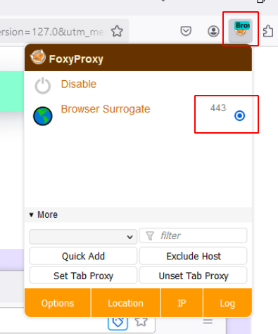 Firefox Extension Options 4
